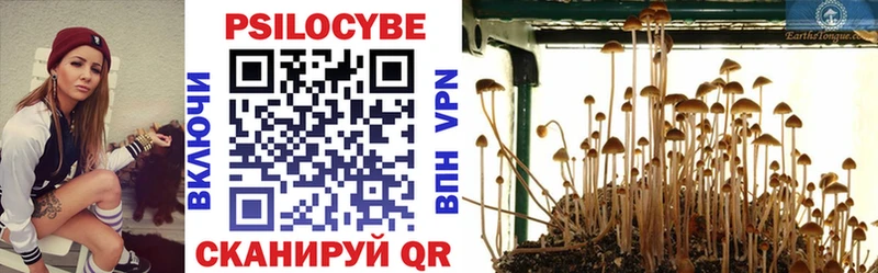 Псилоцибиновые грибы ЛСД  Купить  Ахтубинск 